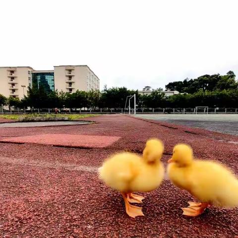 这些表现，会害孩子一生