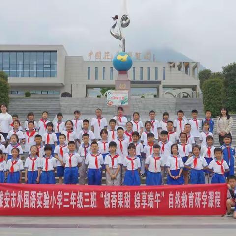 椒香果甜棕享端午                            启智游学素质提升