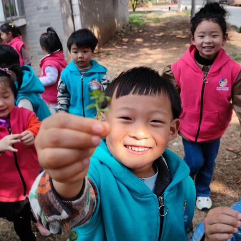 我和春天有个约会🌱