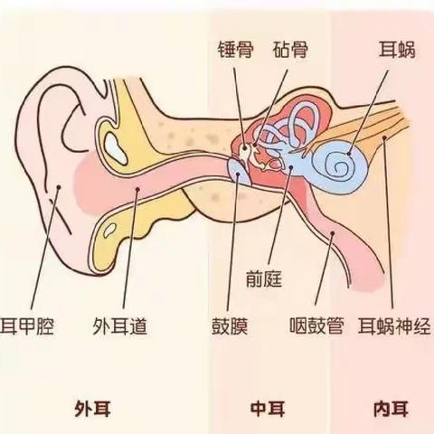 爱耳护耳，聆听精彩未来 ——庐阳东方明珠幼儿园“爱耳日”主题活动