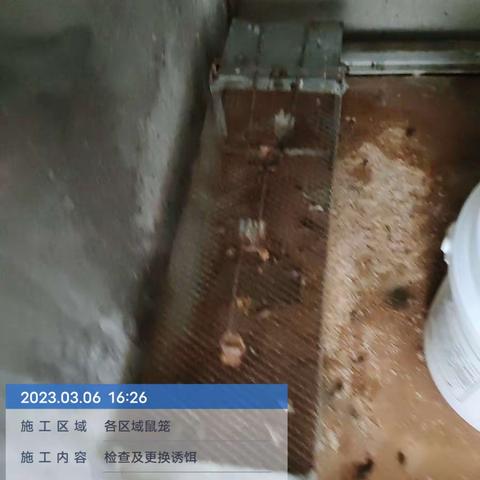 2023年3月6日三亚半山半岛洲际度假酒店白晚班工作报告