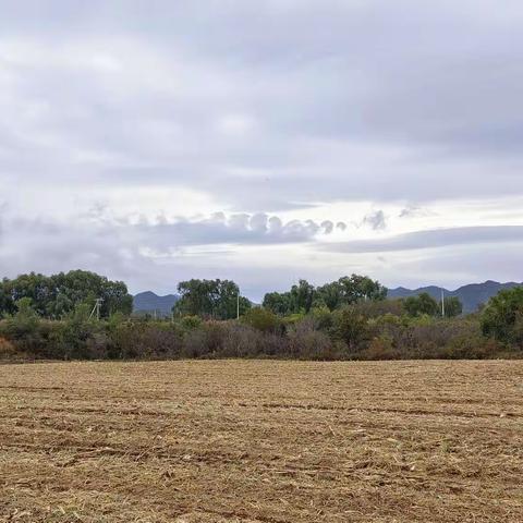 重阳节延庆柳沟九龙山登高