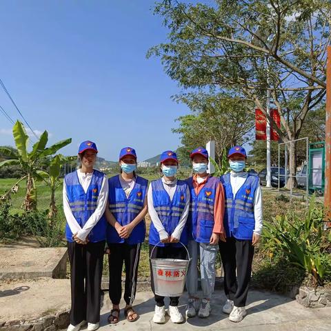 龙密村团支部组织青年志愿者开展植树活动