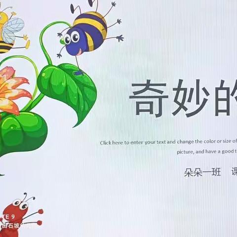 白石坡幼儿园朵朵一班课程故事《奇妙的昆虫》