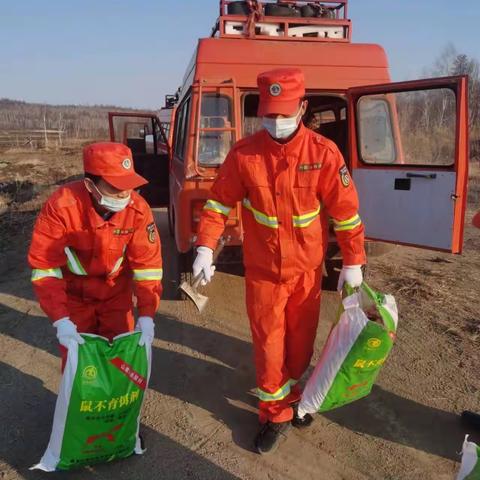 椅子圈林场全面开展虫害、鼠害防治工作（副本）