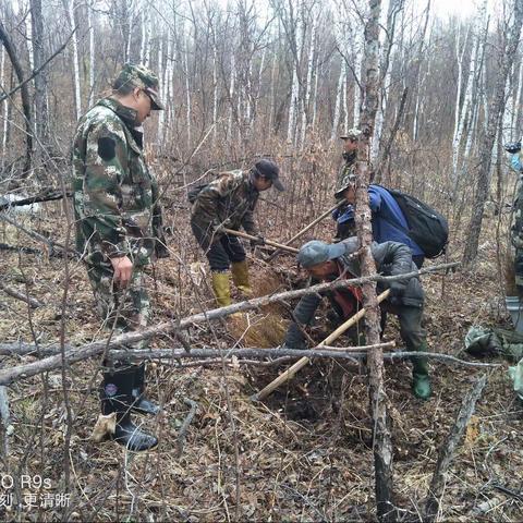 椅子圈森林资源管护区开展春季补植补造工作