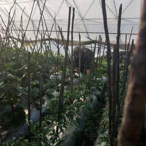 椅子圈管护区激发职工创业主动性