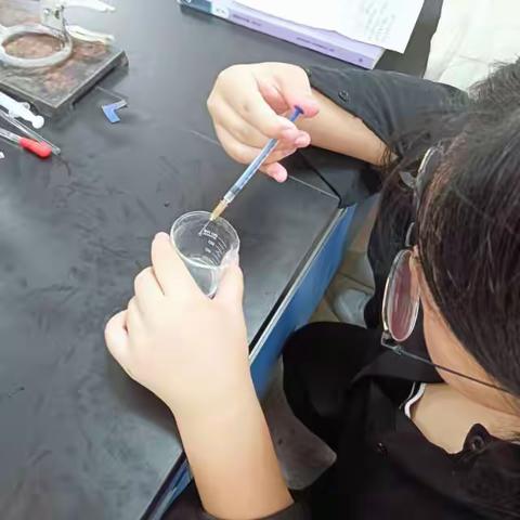 梁颖晗化学课程探索性学习报告