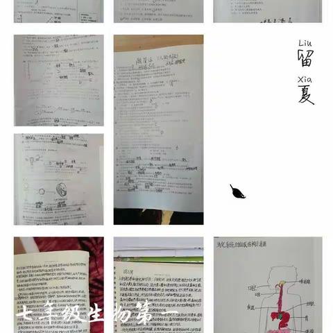 要求明确       督促到位      质量提升                  ——狮子楼学校初一学生寒假作业检查掠影