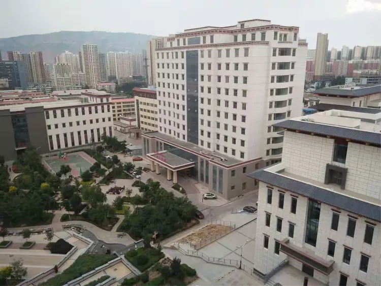 包含青海省第三人民醫院（青海省精神衛生防治院）黃牛陪診掛號的詞條