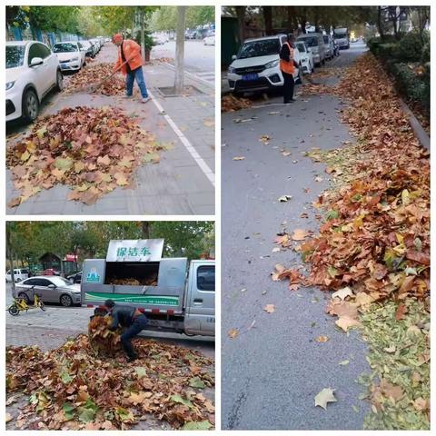 伊川县城市管理局环境卫生管理所启动大风天气应急预案，清理城区落叶。