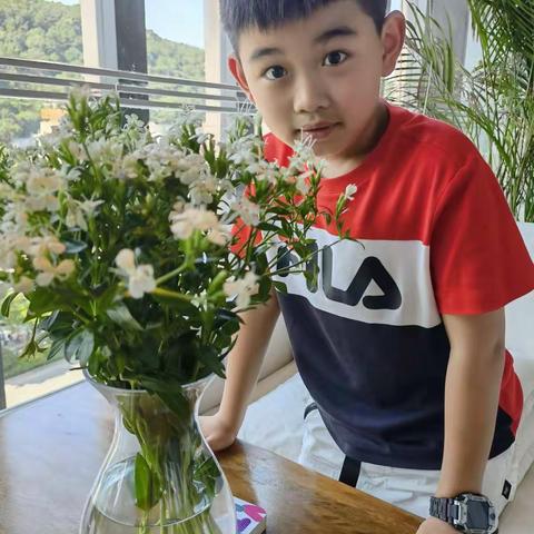 丰富多彩的暑假