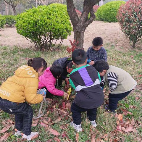 红星幼儿园中九班“3.12植树节活动”