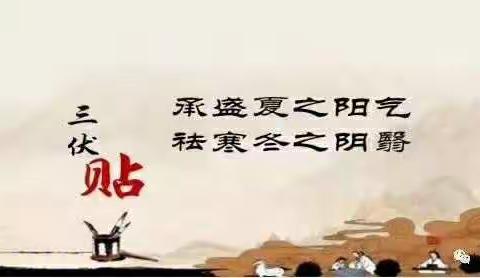 达拉特旗中蒙医医院治未病科三伏贴