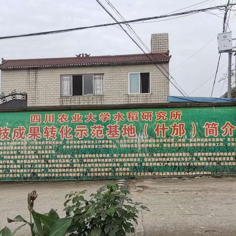 什邡市优质水稻协会2020年品种展示现场会