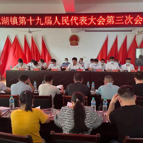 龙湖镇召开第十九届人民代表大会第三次会议