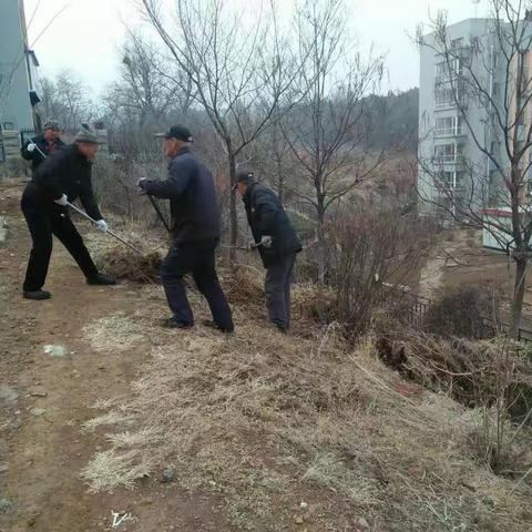 街路绿化养护工作 3.14