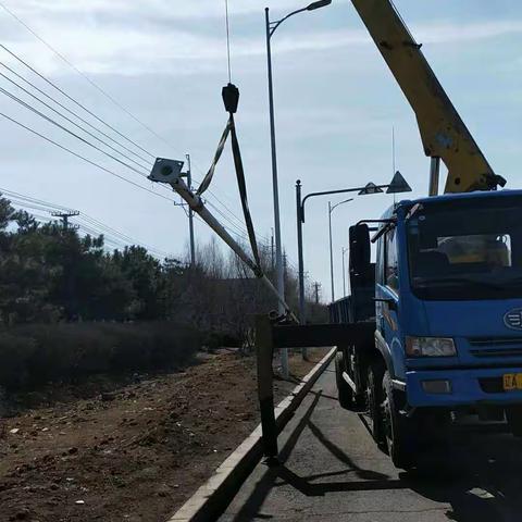 城管执法局园林处 街路绿化养护工作 3.20