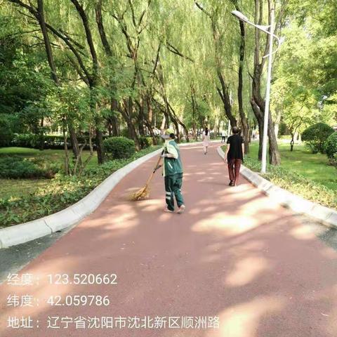 沈北街路绿化养护工作信息