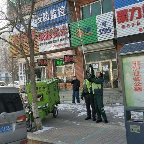街路绿化养护工作 3.11