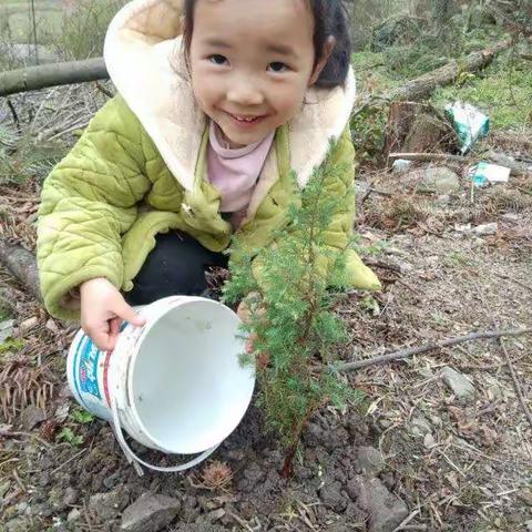 影山幼儿园植树节活动——做家园的守护者