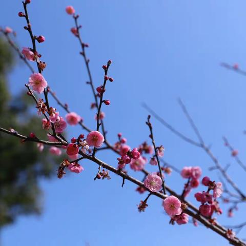 面对生活，学会生活