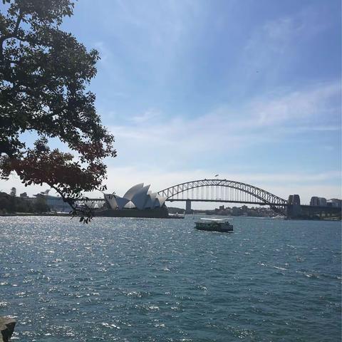 心动澳新游2017年11月25日