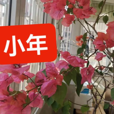 小年