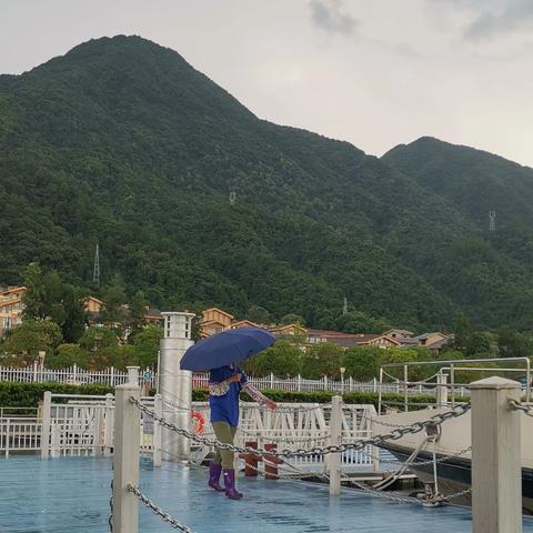 八十感怀：不舍与放下