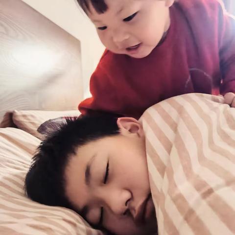 虫子哥和萌妹子成长记录