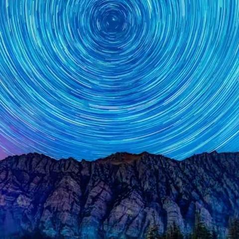 花开有期，静待花开