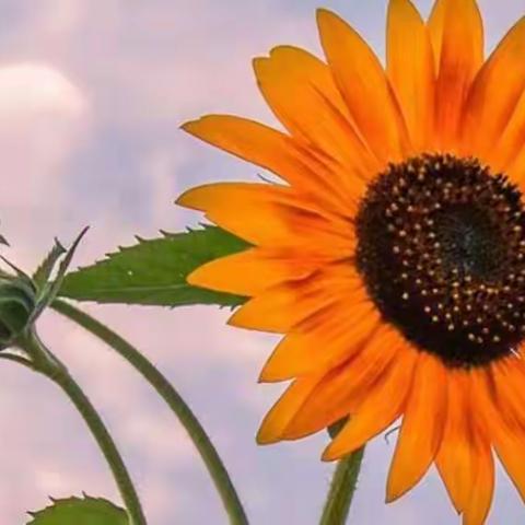 一班——回忆篇军训记