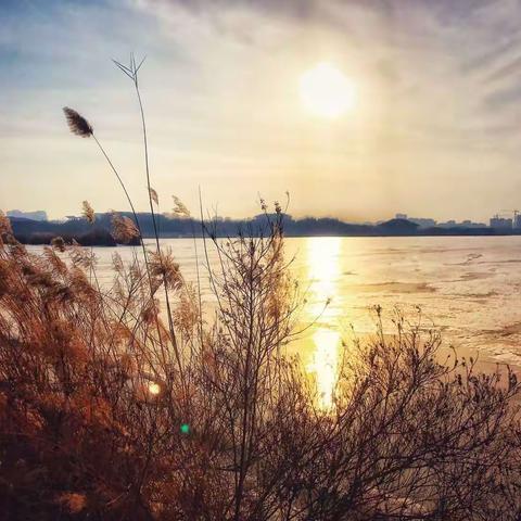 故乡的色彩——学生微写作