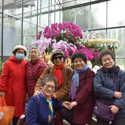 时尚飞扬的巧姐姐（5）