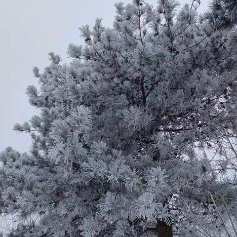 ⭐ 星光不问赶路人 ⭐时光不负有心人