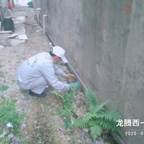 2020年2月28日广州市江氏杀虫有限公司海南分公司在儋州市服务辖区开展病媒生物防制施工。