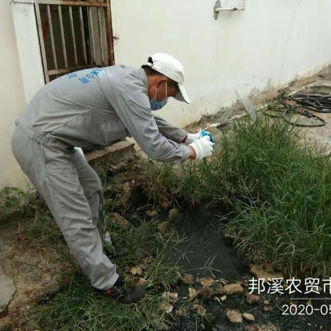 5月22日广州市江氏杀虫有限公司在白沙黎族苗族自治县邦溪镇开展病媒防制工作