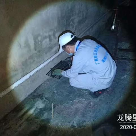 2020年9月2日晚广州市江氏杀虫有限公司在儋州市建成区的服务区域开展病媒生物防制施工。