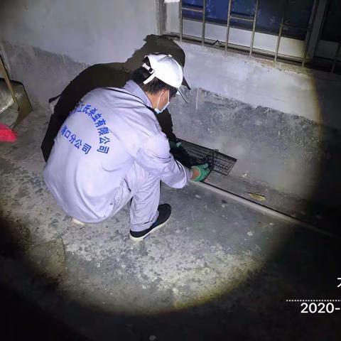 2020年8月31日晚广州市江氏杀虫有限公司在儋州市建成区的服务区域开展病媒生物防制施工。