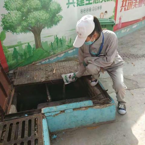 伯乐挑马的美篇