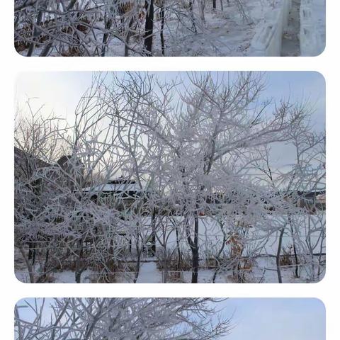 冰雪童趣  乐享校园-----鄂伦春自治旗实验小学冰雪进校园系列活动