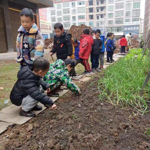 走进小菜园，拥抱大自然👏👏