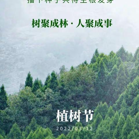 “相逢植树节，爱在春天里”--闵集幼儿园小一班植树节活动