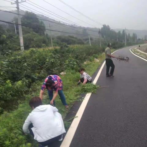 村居环境提升从小事做起