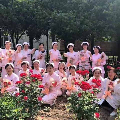 512国际护士节 鲜花献给白衣天使们🌹