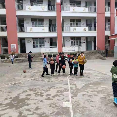 从喜爱到热爱                      ——陡红小学篮球社团