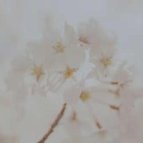 正音辭海•發明 || 貳•循經解字