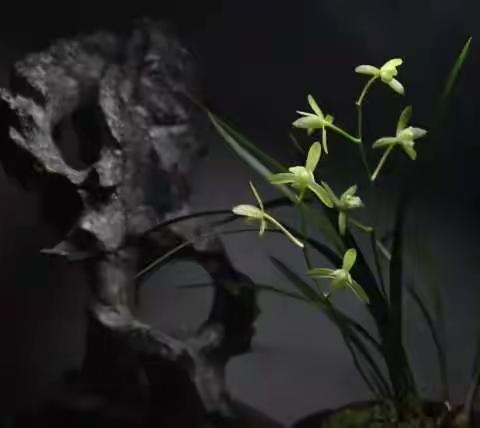 禅悟人生，到底在悟什么？