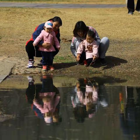 柳绿花红，莫要错过踏春好时节