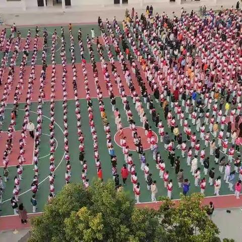 家校携手，共育未来——郾城区实验小学开放日活动
